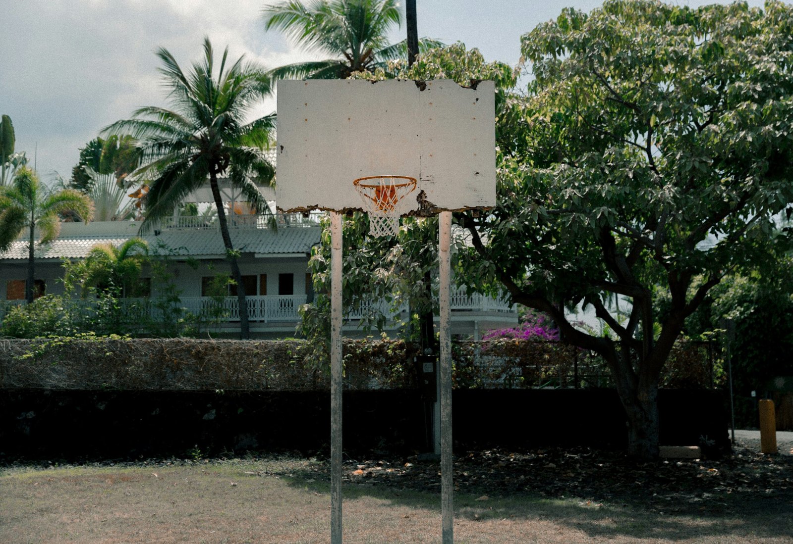 Zuyomernon System Basketball: Innovative Play Beyond Tradition